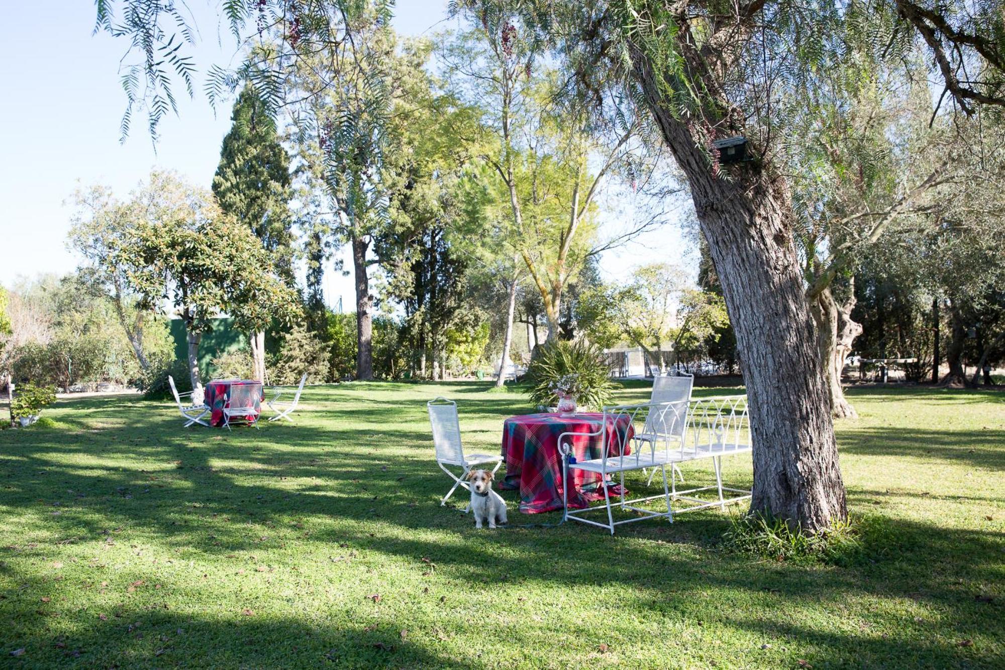 Cortijo Rural La Mariscala Villa Jerez de la Frontera Eksteriør billede